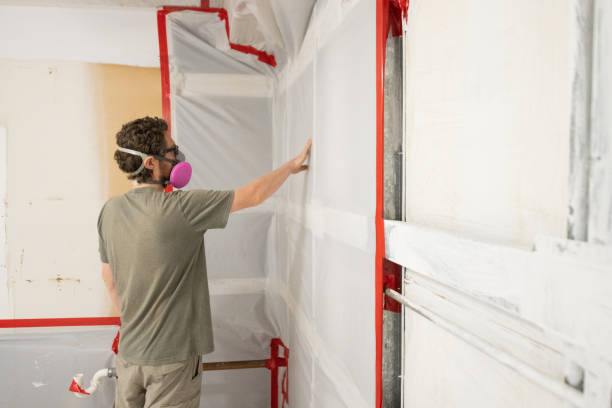 Asbestos and Lead Testing During Mold Inspection in Shannon, GA